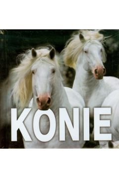 Konie