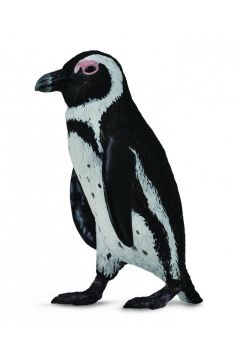 Pingwin przyldkowy