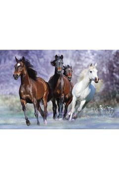 Konie w Biegu - plakat 50x40 cm