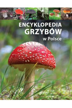 Encyklopedia grzybw w Polsce