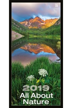 Kalendarz 2019 Natura Ex HELMA