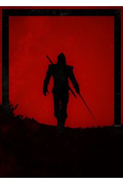 Dawn of Heroes - Geralt, Wiedmin - plakat 40x60 cm