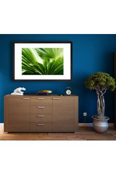 Li palmowy - plakat 84,1x59,4 cm
