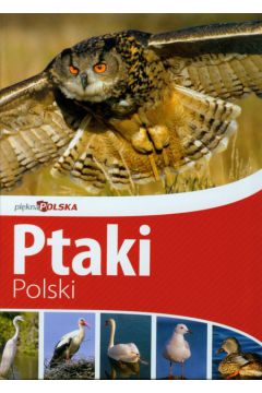 Pikna Polska. Ptaki Polski