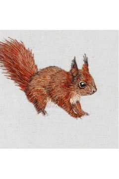 Museums & Galleries Karnet kwadrat z kopert Red Squirrel