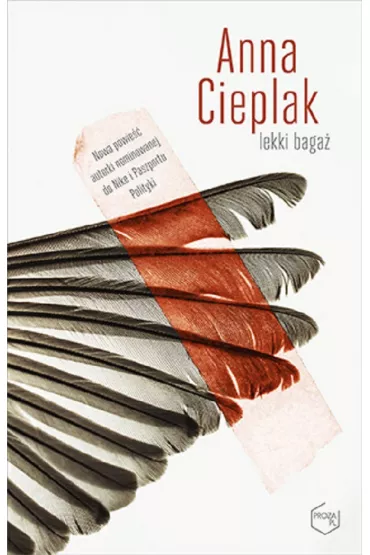 Lekki baga� - Anna Cieplak