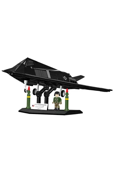 Armed Forces. F-117(R) Nighthawk(R)