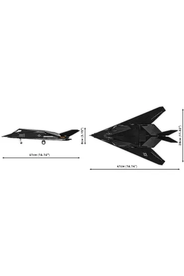 Armed Forces. F-117(R) Nighthawk(R)