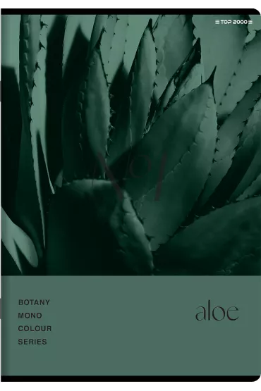 Top-2000 Zeszyt A5 Botany kratka 60 kartek