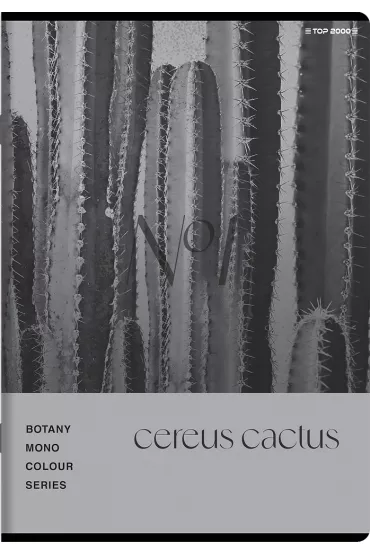 Top-2000 Zeszyt A5 Botany kratka 60 kartek