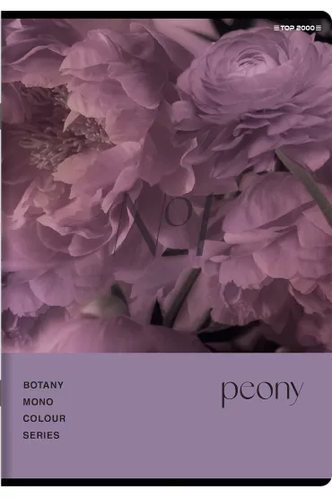Top-2000 Zeszyt A5 Botany kratka 60 kartek