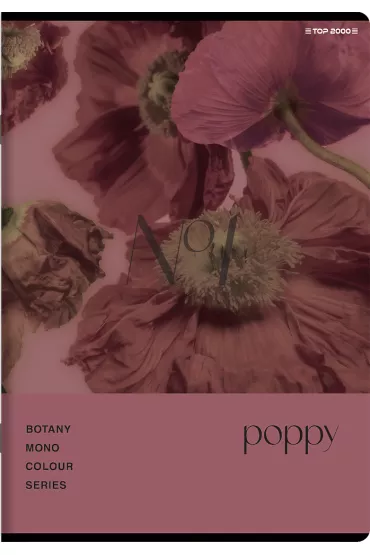 Top-2000 Zeszyt A5 Botany kratka 60 kartek
