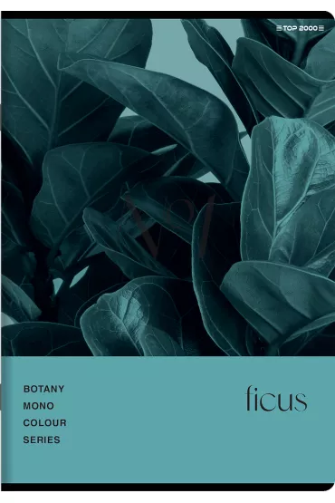 Top-2000 Zeszyt A5 Botany kratka 60 kartek