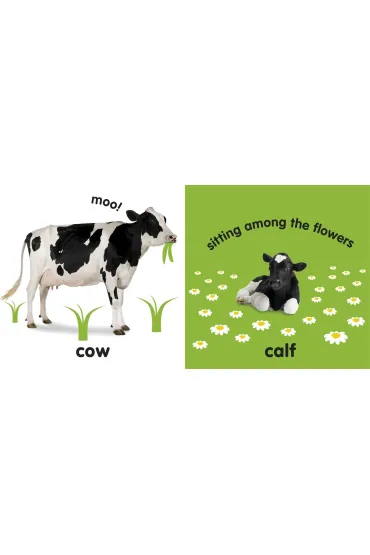Baby Touch and feel Farm Animals.  wer. angielska