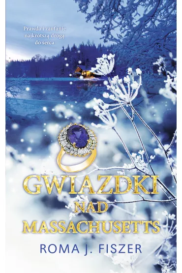 eBook Gwiazdki nad Massachusetts mobi epub - Roma J. Fiszer