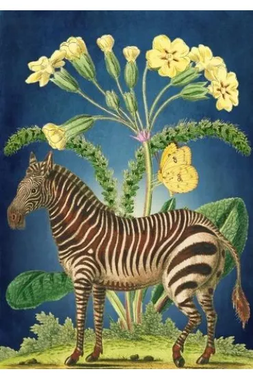 Madame Treacle Karnet B6 z kopert� Zebra