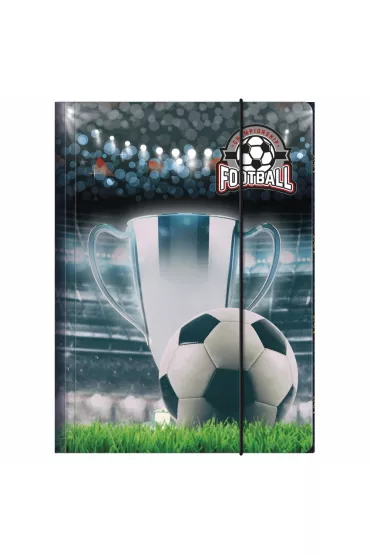 Derform Teczka z gumk� A4 Pi�ka 18
