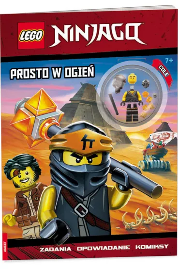 Ameet LEGO LEGO NINJAGO. Prosto w ogie�