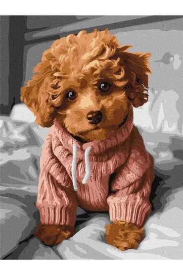 Ideyka Malowanie po numerach - Magiczny Maltipoo 30x40cm