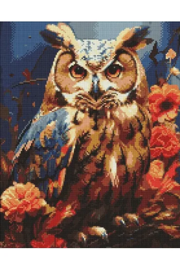 Ideyka Diamentowa mozaika - Le�na sowa 40x50cm