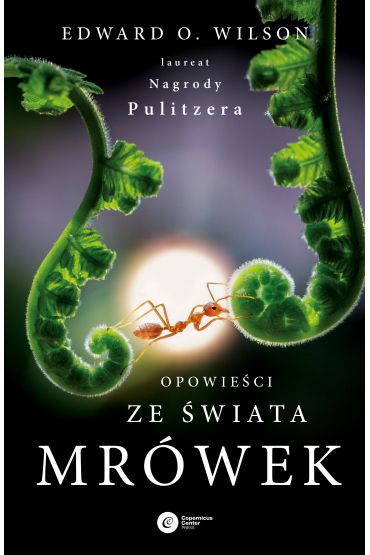 Opowieści ze świata mrówek