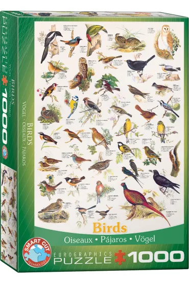 Puzzle 1000 el. Ptaki Eurographics