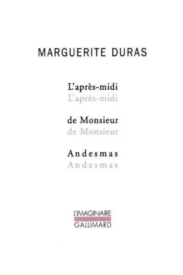 Apres midi - Duras Marguerite