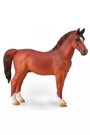 Hackney Stallion Chestnut