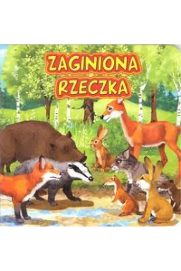 Zaginiona rzeczka - Katarzyna Campbell