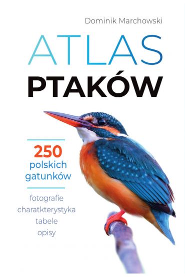 Atlas ptaków