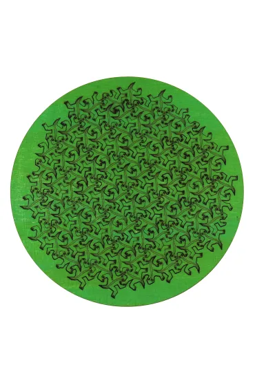 Puzzle �amig��wka Wacko - Gecko 12el - poziom 4/4 Eureka 3D