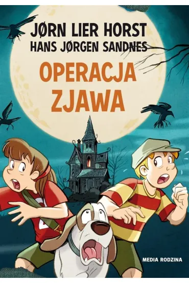 Operacja Zjawa. Biuro detektywistyczne nr 2. Tom 10 - Jorn Lier Horst, Hans Jorgen Sandnes