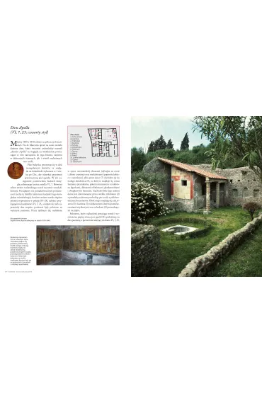 Pompeje. Odzyskana historia