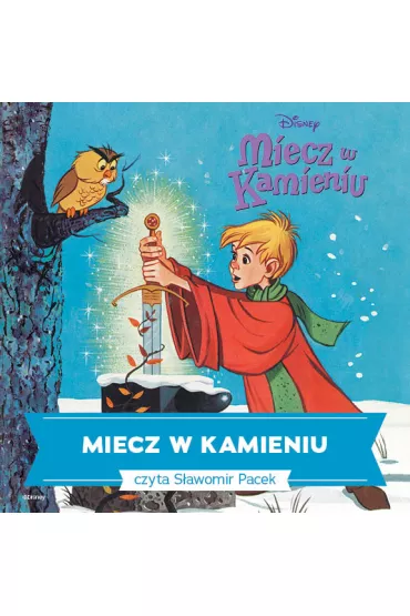 Audiobook Miecz w kamieniu mp3