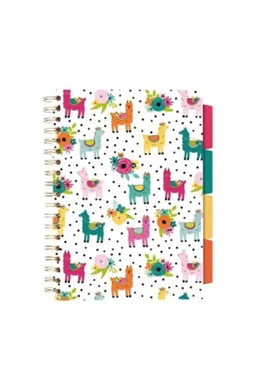 Pukka Pad Pukka Project Book Colour Wash B5 linia 100 kartek 3 szt.