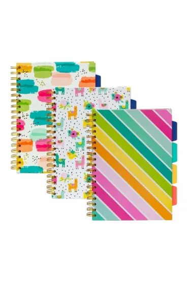 Pukka Pad Pukka Project Book Colour Wash B5 linia 100 kartek 3 szt.