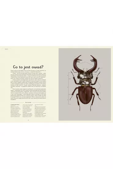Insektarium. Muzeum Owad�w - Dave Goulson