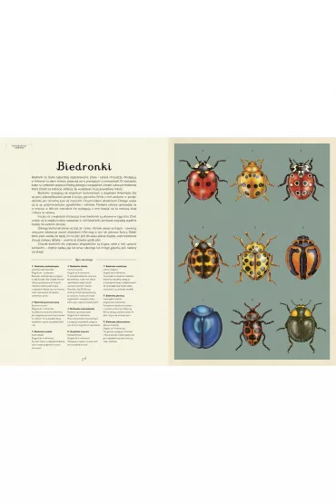 Insektarium. Muzeum Owad�w - Dave Goulson