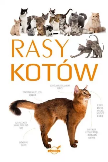 Rasy kot�w