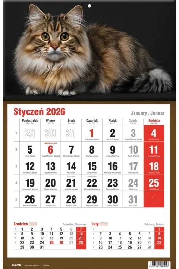 Kalendarze �cienne Kalendarz tr�jdzielny 2026 jednodzielny KTJ-2