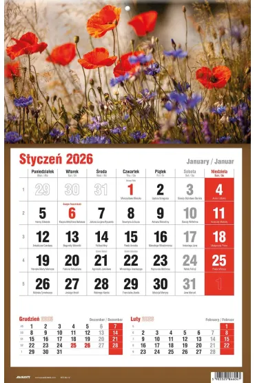 Kalendarze �cienne Kalendarz tr�jdzielny 2026 jednodzielny KTJ-2