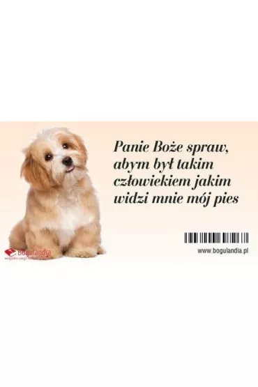 Bogulandia Magnes na lod�wk� - Panie Bo�e spraw, abym by�?