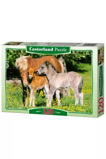 Puzzle 120 el. Kucyki na ��ce Castorland