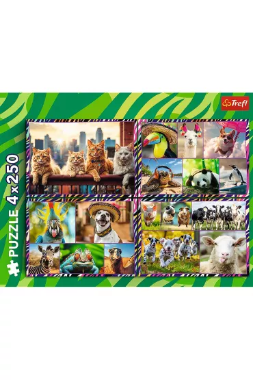 Puzzle 4x250 el. Zabawne zwierzaki Trefl