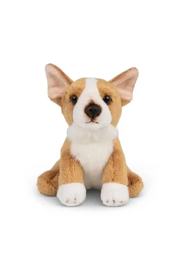 Animigos World of Nature mini corgi One for Fun