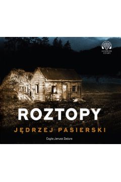 Audiobook Roztopy. Nina Warwiow. Tom 2 CD