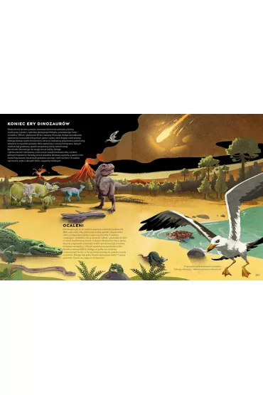 Rok z dinozaurami - Miranda Smith