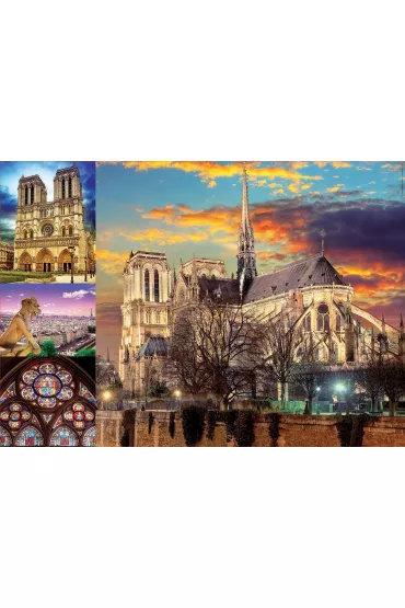 Puzzle 1000 el. Katedra Notre Dame, Pary� Educa