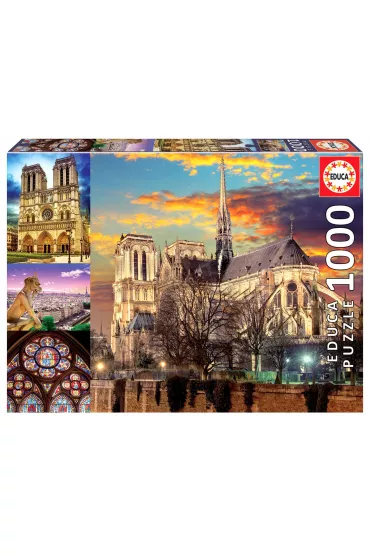 Puzzle 1000 el. Katedra Notre Dame, Pary� Educa