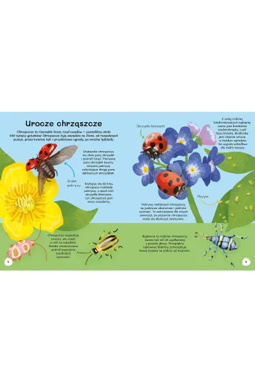 Ile kropek ma biedronka? Wiem wszystko o owadach. Akademia ma�ego przyrodnika - Polly  Cheeseman